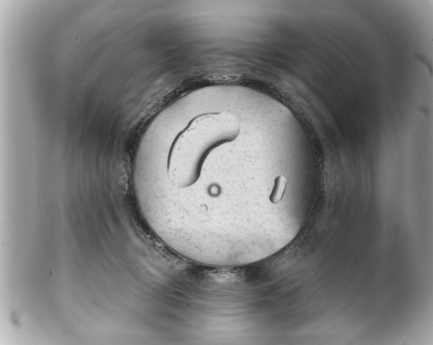 X0000102490370200808151502