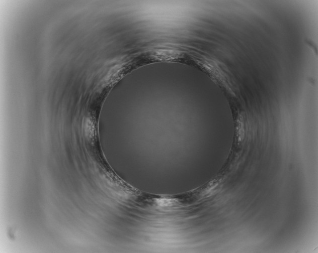 X0000102490371200808151502