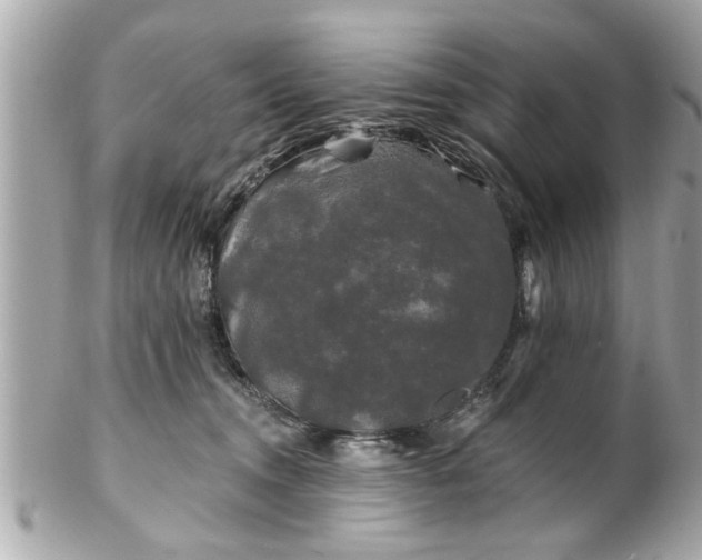 X0000102490372200808151502