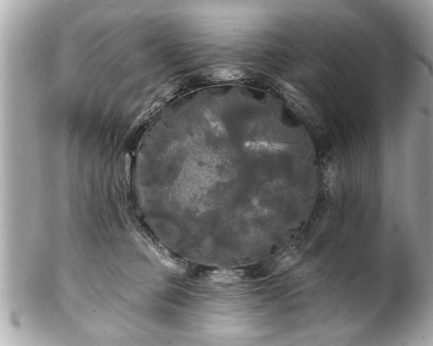 X0000102490373200808151502