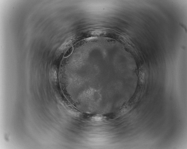 X0000102490375200808151502