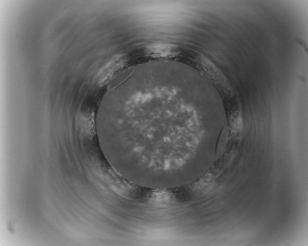 X0000102490376200808151502