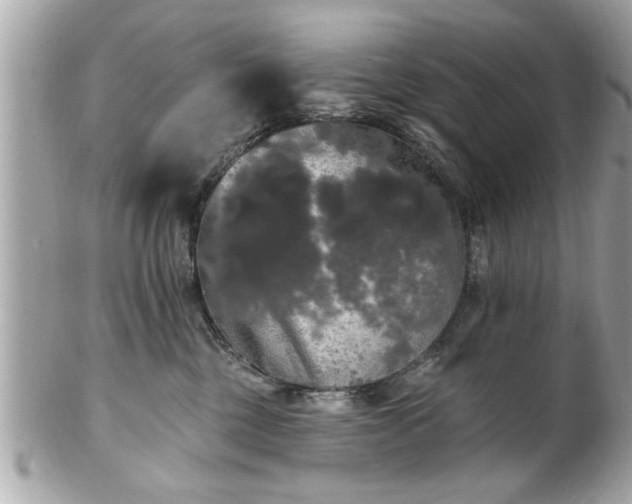 X0000102490377200808151502