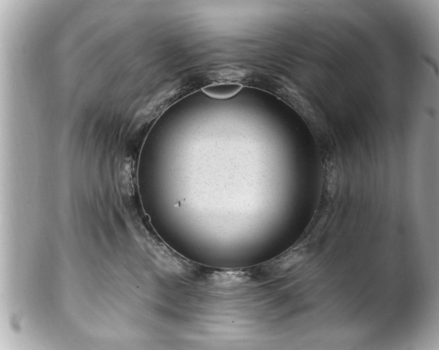 X0000102490378200808151502