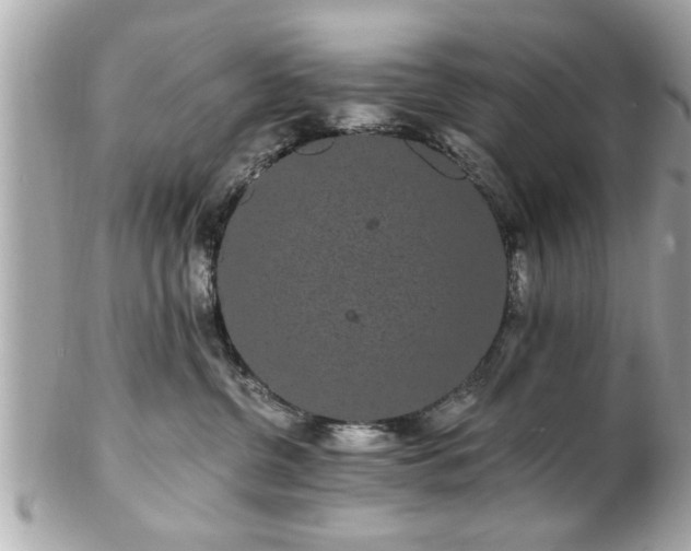 X0000102490380200808151502