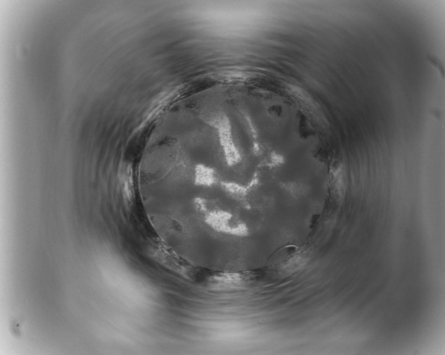 X0000102490381200808151502