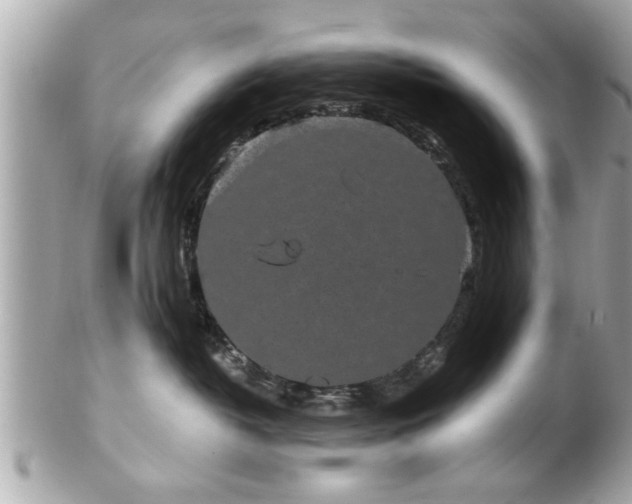 X0000102490382200808151502