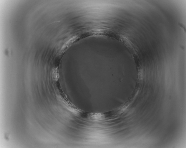 X0000102490383200808151502