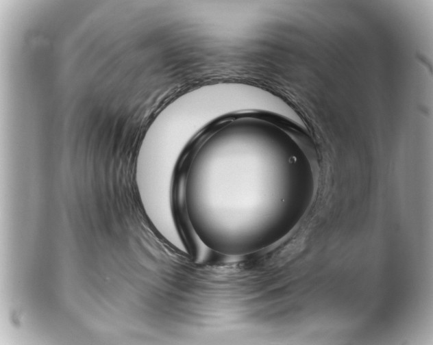 X0000102490384200808151502