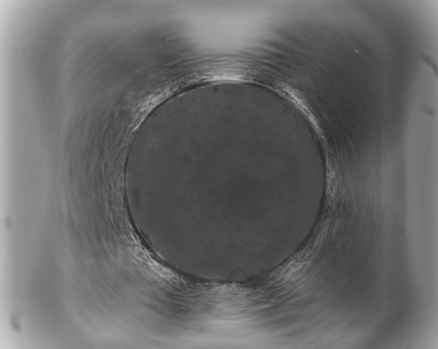 X0000102490385200808151501