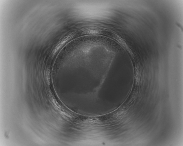 X0000102490386200808151501