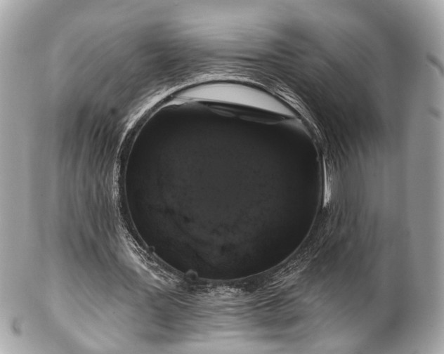 X0000102490387200808151501