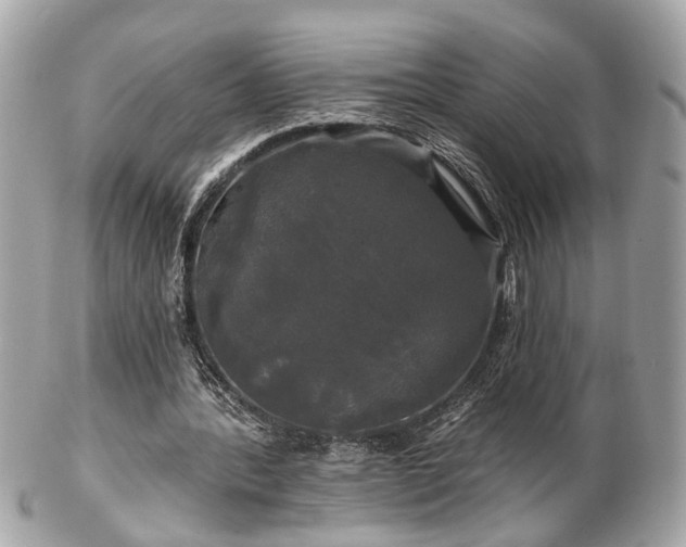 X0000102490388200808151501