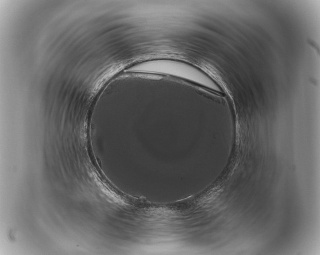 X0000102490389200808151501