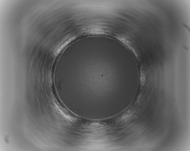 X0000102490390200808151501