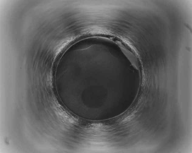 X0000102490391200808151501