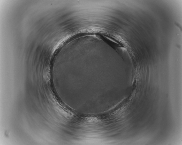 X0000102490392200808151501