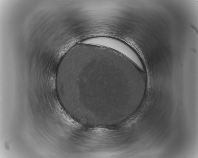 X0000102490393200808151501