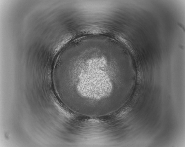 X0000102490394200808151501