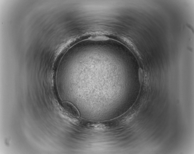 X0000102490395200808151501