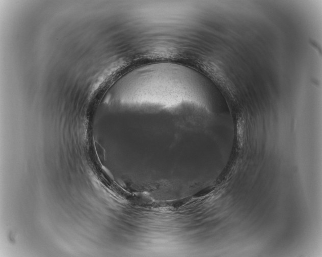 X0000102490396200808151501