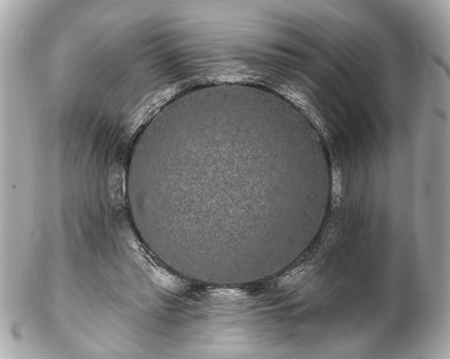 X0000102490397200808151501