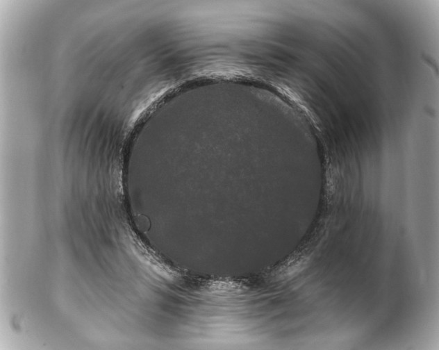 X0000102490399200808151501