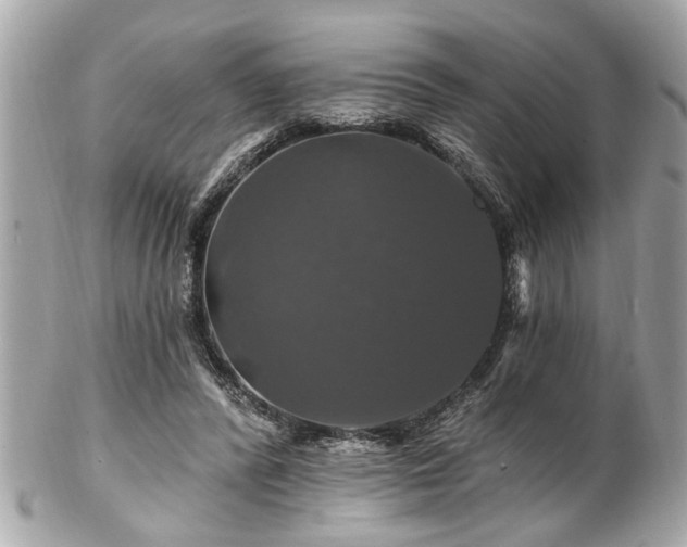 X0000102490400200808151501