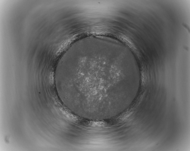 X0000102490401200808151501