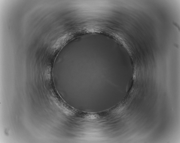 X0000102490402200808151501