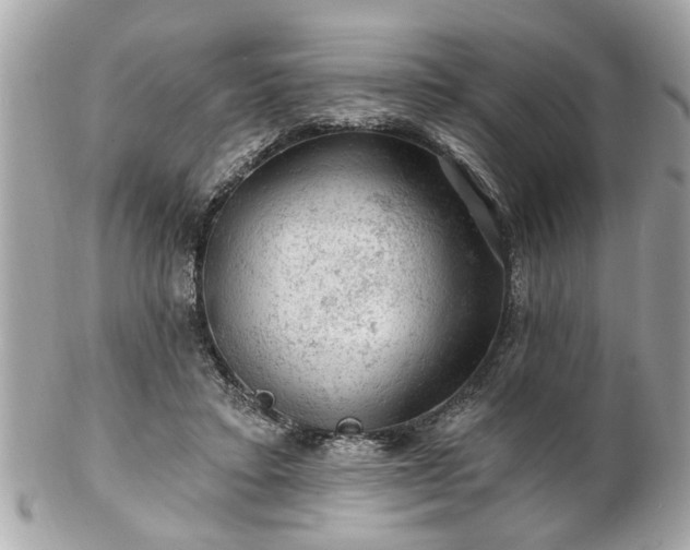 X0000102490403200808151501