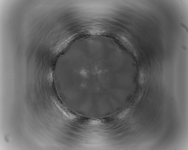 X0000102490405200808151501