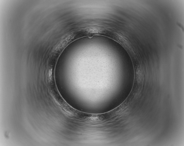 X0000102490406200808151501