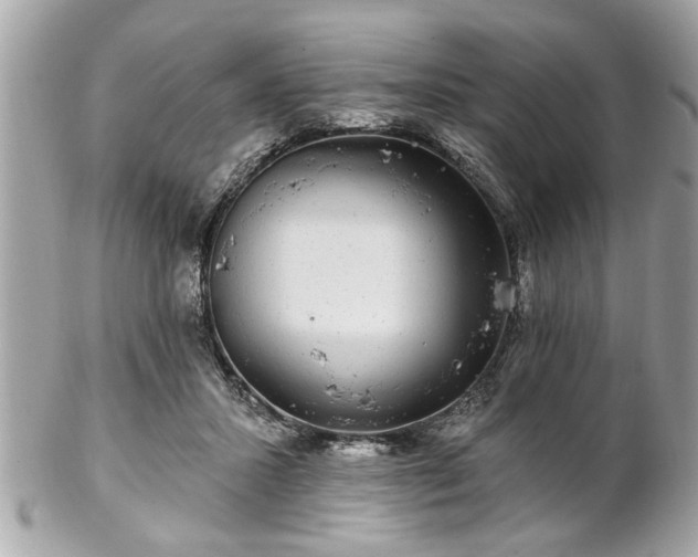 X0000102490407200808151501