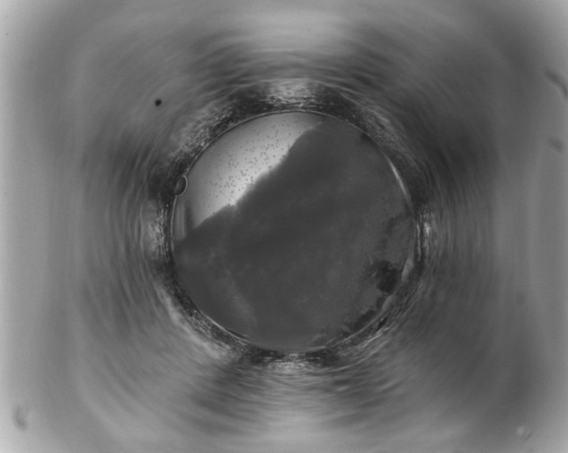 X0000102490408200808151501