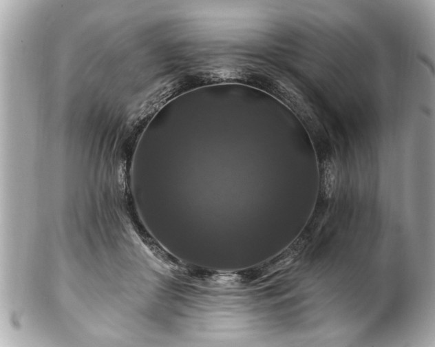 X0000102490410200808151501