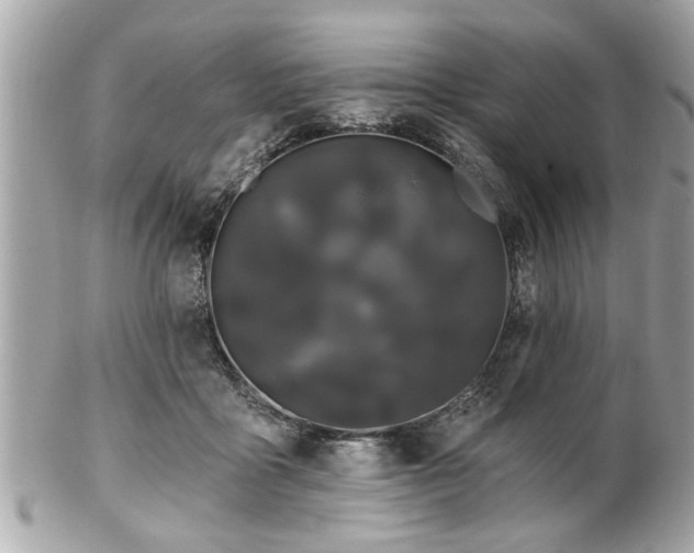 X0000102490411200808151501