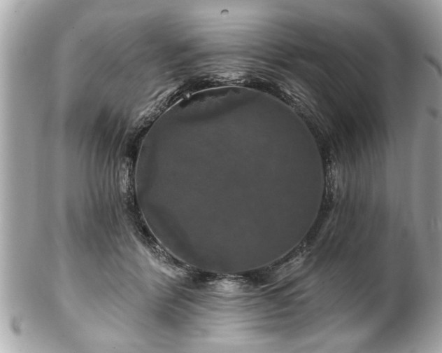 X0000102490412200808151501