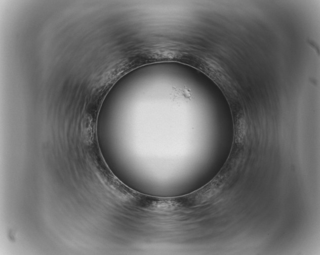 X0000102490414200808151501