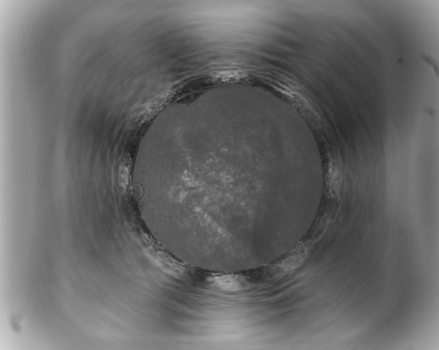 X0000102490417200808151501