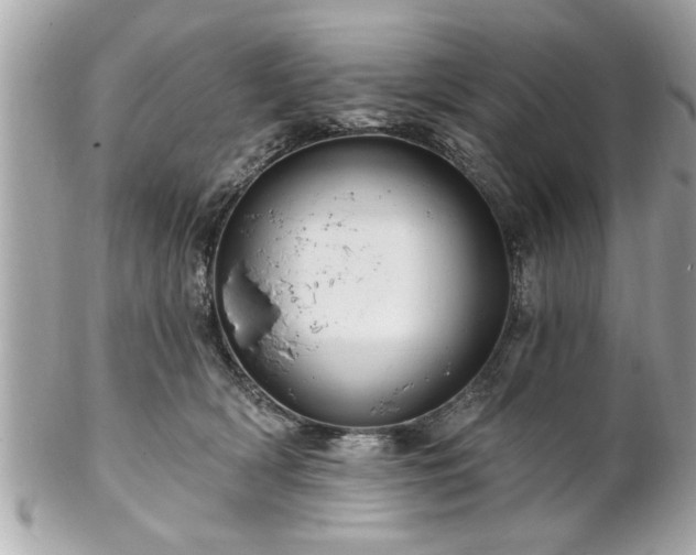 X0000102490418200808151501