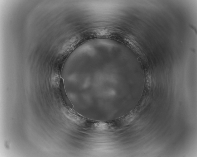 X0000102490419200808151501