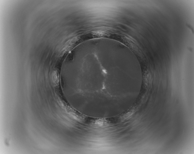 X0000102490420200808151501