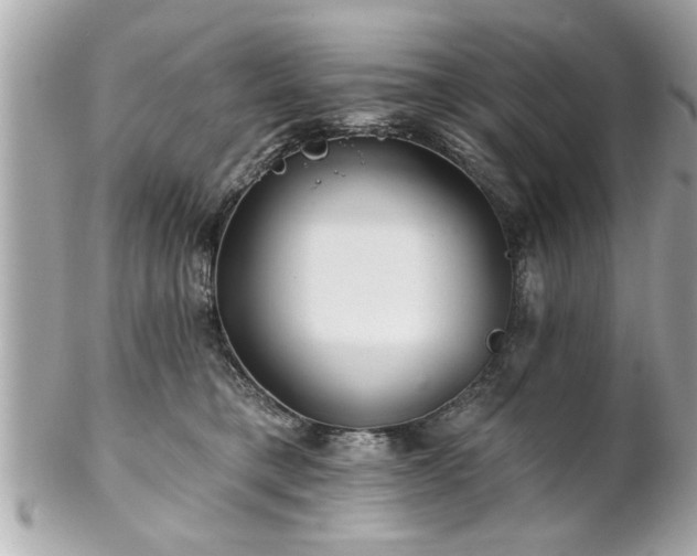 X0000102490421200808151501