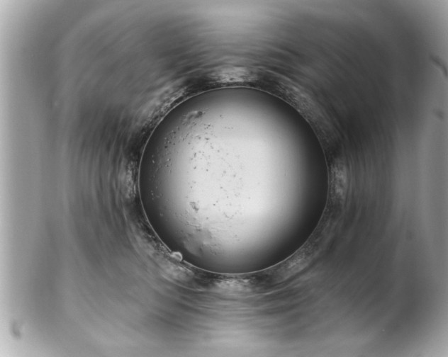 X0000102490422200808151501