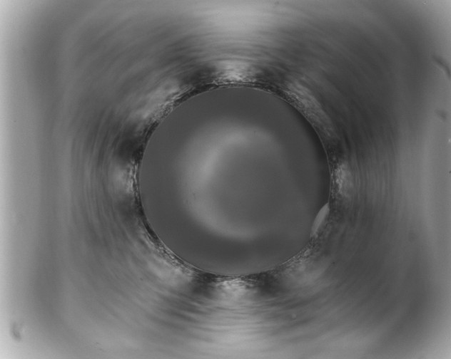 X0000102490423200808151501