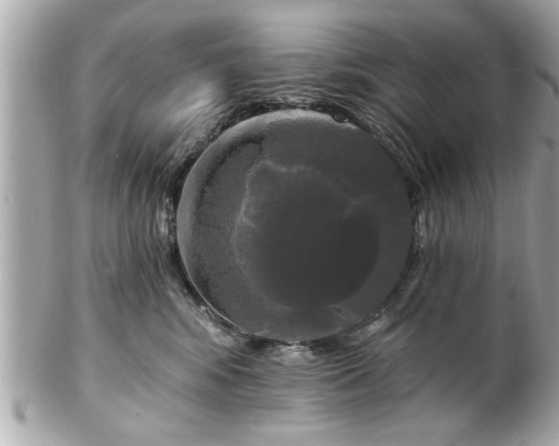 X0000102490424200808151501