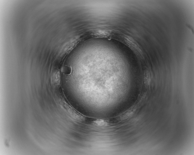 X0000102490425200808151501