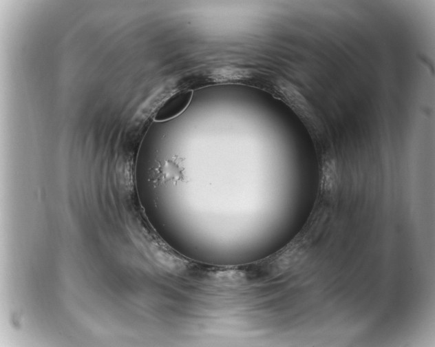 X0000102490426200808151501