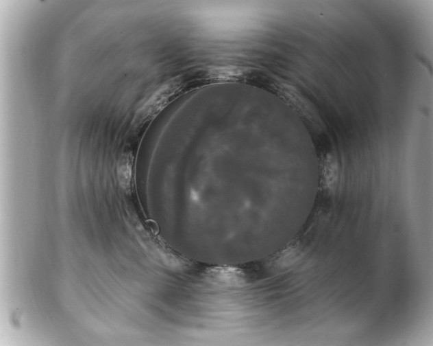 X0000102490427200808151501